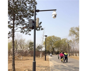 路灯监控杆-LB-03